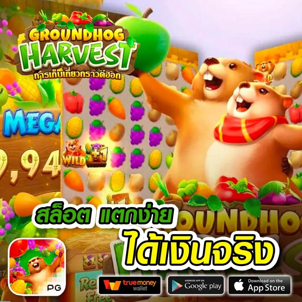 slotxo สล็อตฝาก 1 บาทได้ 100 ใหม่ โบนัสสูงสุด ถอนได้จริง 2024